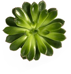 Service stationery img 5